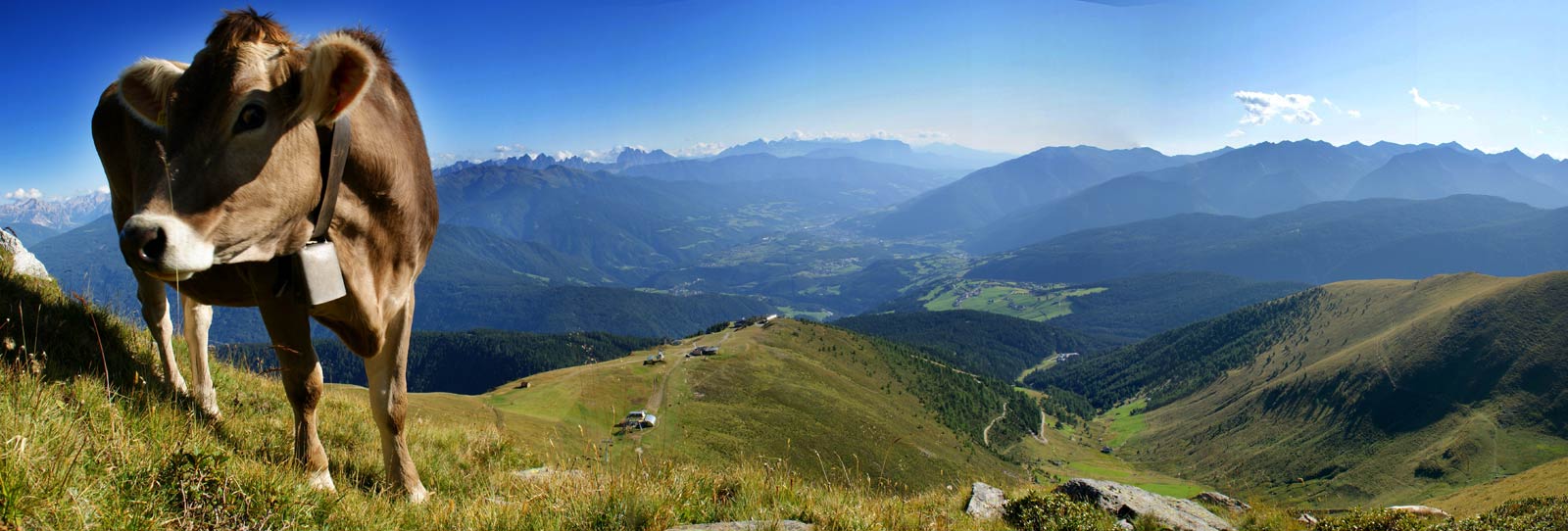 Vakantie met de "Almencard"