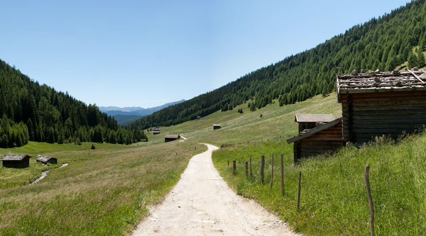 Frühsommer in Südtirol