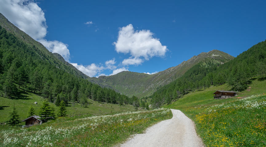 Frühbucher-Angebot August